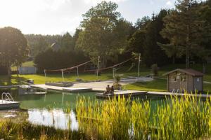 a house on a dock on a lake with a playground at Schanzenblick mit Sauna und Pool in Schonwald im Schwarzwald