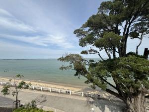 a view of a beach with a tree at Appartement 3 pièces 4 couchages Saint Trojan les Bains STO000-556 in Saint-Trojan-les-Bains