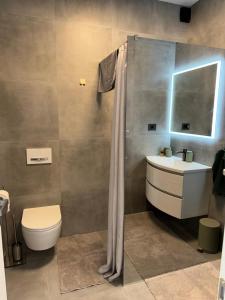 une salle de bain avec toilettes, lavabo et douche dans l'établissement Studio apartman Mango, à Jadranovo 14 autres photos