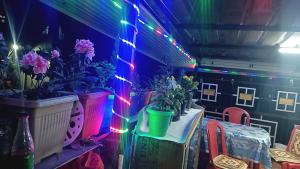 Fotografie z fotogalerie ubytování Mountain view homestay Darjeeling v destinaci Dárdžiling