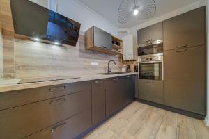 TalangeにあるAppartement Contemporainのキッチン(木製キャビネット、ステンレス製の電化製品付)