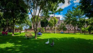 Galería fotográfica de Panone Hotels - King'ori Kilimanjaro Airport en Moshi 34 fotos más