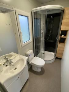 a bathroom with a toilet and a sink and a shower at Green Hill Mobile Home in Ražanac