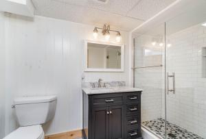 a bathroom with a toilet and a sink and a shower at 5 Bedroom with Fire Pit, Patio & Large Yard in South Haven +21 photos