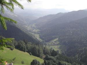 Un paisaje natural cerca del departamento