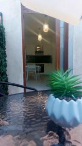 a plant sitting on a table in a room at La Sanfelice in Agropoli