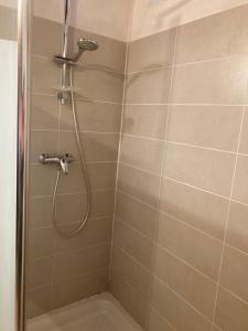 a shower with a shower head in a bathroom at U Magazinu in Pino