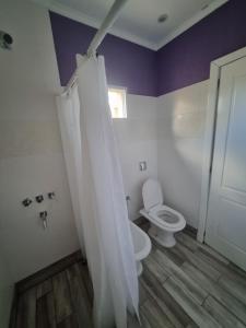 een badkamer met toilet en douchegordijn bij Céntrico espacio en CS in Coronel Suárez