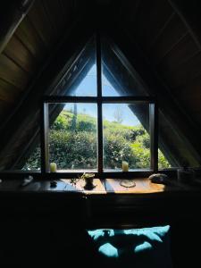 Fotografie z fotogalerie ubytování The Lake Frost v destinaci Nuwara Eliya