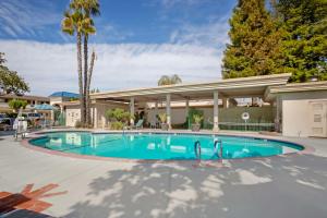 a swimming pool in front of a house with a palm tree at Best Western Plus Black Oak in Paso Robles