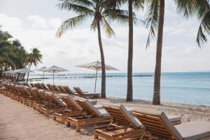 a row of chairs and umbrellas on a beach at Almare, a Luxury Collection Resort, Isla Mujeres, Adult All-Inclusive in Isla Mujeres