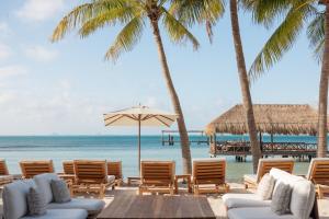 a beach with chairs and palm trees and the ocean at Almare, a Luxury Collection Resort, Isla Mujeres, Adult All-Inclusive in Isla Mujeres