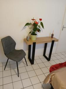 Fotografie z fotogalerie ubytování Comme A La Maison Chez Dominnique Coquet T2 Avec Jardin Homme Chaleureux v destinaci Toulouse