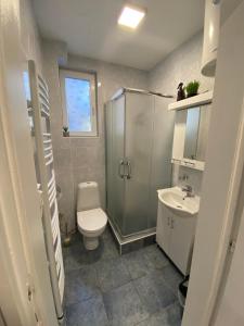 Koupelna v ubytování Apartmani Krčmarica 9