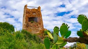 un vieux bâtiment au sommet d'une colline avec un cactus dans l'établissement La Corte Azzurra Terrace, à Bari Sardo
