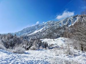 einen schneebedeckten Berg mit Bäumen im Hintergrund in der Unterkunft Holiday Home Tiny House Glockenalm-Chalet Jasmin by Interhome in Aurach