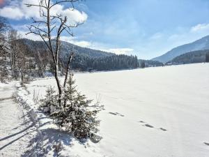 ein schneebedecktes Feld mit einem Baum im Vordergrund in der Unterkunft Holiday Home Tiny House Glockenalm-Chalet Jasmin by Interhome in Aurach