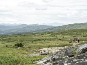 Náttúran í nágrenni íbúðarinnar