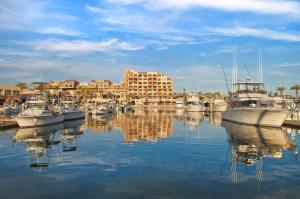 Φωτογραφία από το άλμπουμ του marina terra σε Σαν Κάρλος