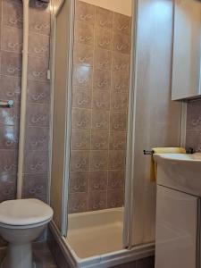een badkamer met een douche, een toilet en een wastafel bij Apartmani Krunić in Barbat na Rabu +24 foto's