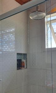una doccia con una porta in vetro in un bagno di Chalé Vagalumes próximo a Penedo a Engenheiro Passos