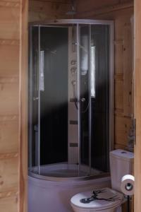 a glass shower in a bathroom with a toilet at Jodłowa Chata in Myślenice