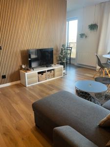Televízia a/alebo spoločenská miestnosť v ubytovaní AL-DOM apartamenty Kniewskiego 11 Kolobrzeg