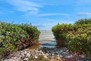 een groep bomen op de oever van een waterlichaam bij Lemon Bay Escapade in Englewood
