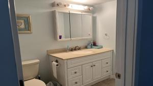 a bathroom with a sink and a toilet and a mirror at Pavloski in Beach Haven +20 photos
