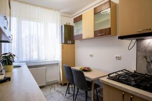 Kuchyň nebo kuchyňský kout v ubytování Joy Residence