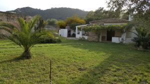 a house with a palm tree in a yard at Sagittario House in Torre delle Stelle