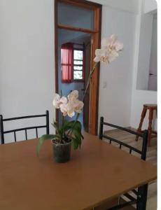 a table with a potted plant on top of it at MI CASA EN TEPOZTLAn in Tepoztlán +5 photos