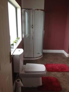 a bathroom with a white toilet and a shower at The Country Haven Aircode V31Y166 in Ballybunion