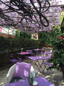 Zahrada ubytování Hotel Stipino
