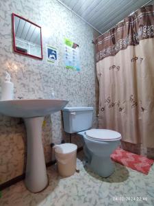 a bathroom with a toilet and a sink at Hospedaje Pensión Ely Cabaña 2 habitaciones 5 personas in Temuco