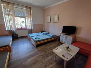 TV a/nebo společenská místnost v ubytování Ubytovaní U Dvora