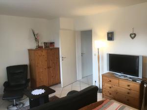 ein Wohnzimmer mit einem Sofa und einem Flachbild-TV in der Unterkunft Appartement Zahn in Bad Waldsee