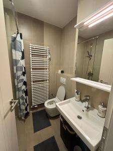 a bathroom with a white toilet and a sink at Apartman Pionir in Sarajevo