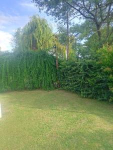 Zahrada ubytování Casa quinta barrio real