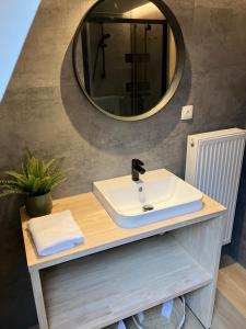 une salle de bain avec un lavabo et un miroir dans l'établissement Chalet Tournesol Durbuy, à Durbuy 50 autres photos