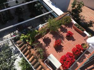 an overhead view of a garden of plants and flowers at Pensión Aduar in Marbella