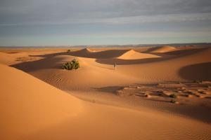 Paysage naturel près de la tente de luxe