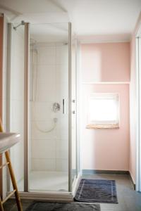 a shower with a glass door in a bathroom at Ferienhaus Petri Limburg in Limburg an der Lahn +30 photos