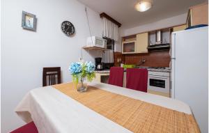 Kuchyň nebo kuchyňský kout v ubytování Two-Bedroom Apartment In Pula