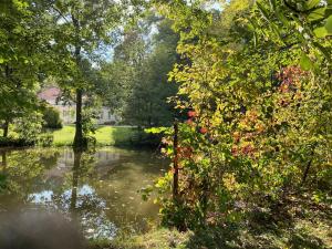 Naturlandschaft in der Nähe des Ferienhauses