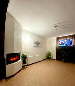 a living room with a fireplace and a tv at Vila Silvana in Moieciu de Jos