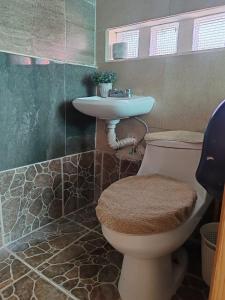 ein Badezimmer mit Toilette und Waschbecken in der Unterkunft Beautiful apartment near the Guadalupe walkway in San Cristóbal de las Casas