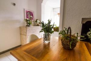 Fotografie z fotogalerie ubytování Hotel Mirella v destinaci Castiglione della Pescaia