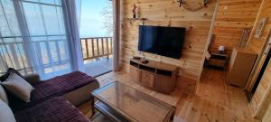 a living room with a couch and a flat screen tv at Home Livari Viewpoint in Livari