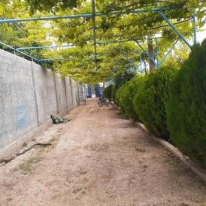 Κήπος έξω από το سموع فارم